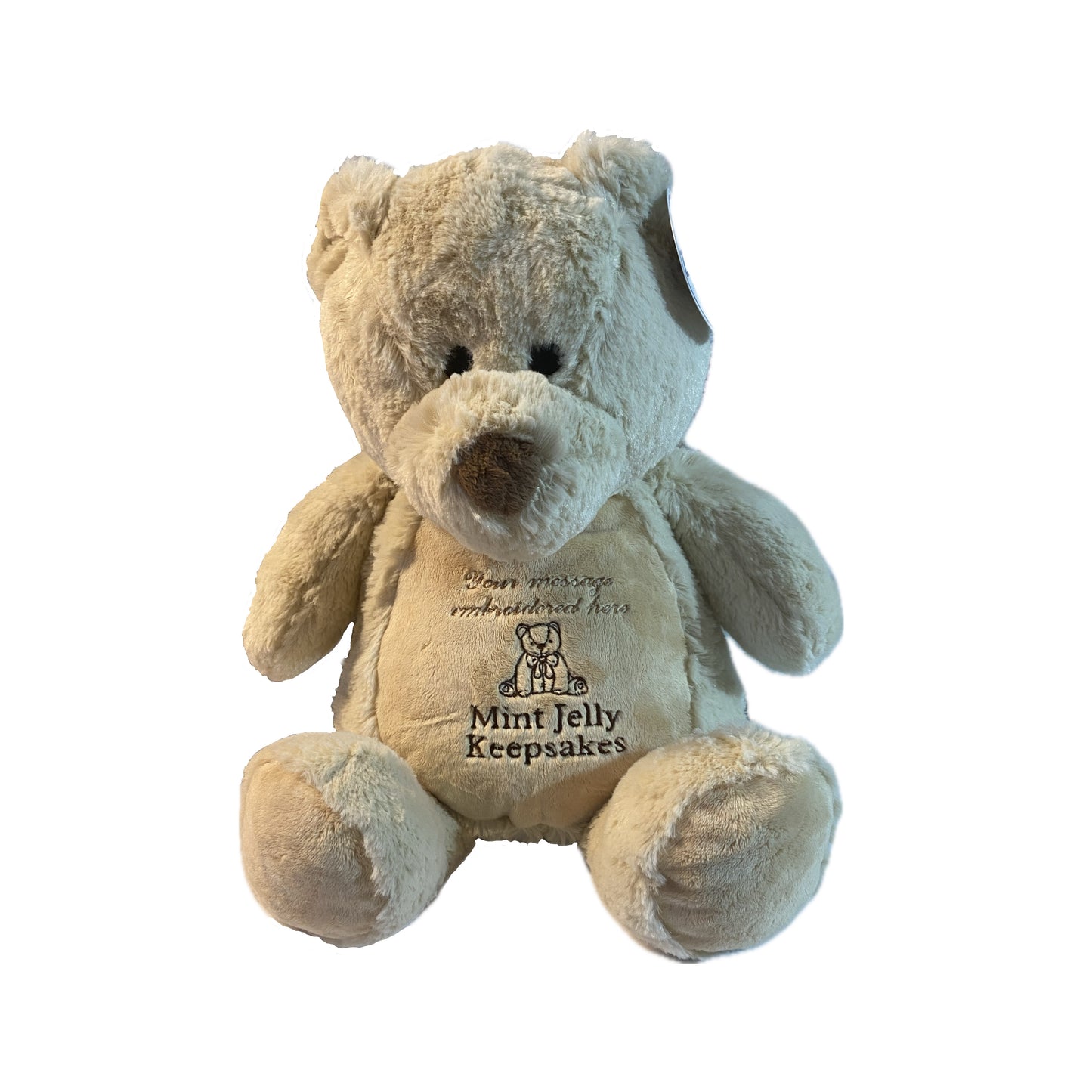 Embroidered Fluffy Teddy